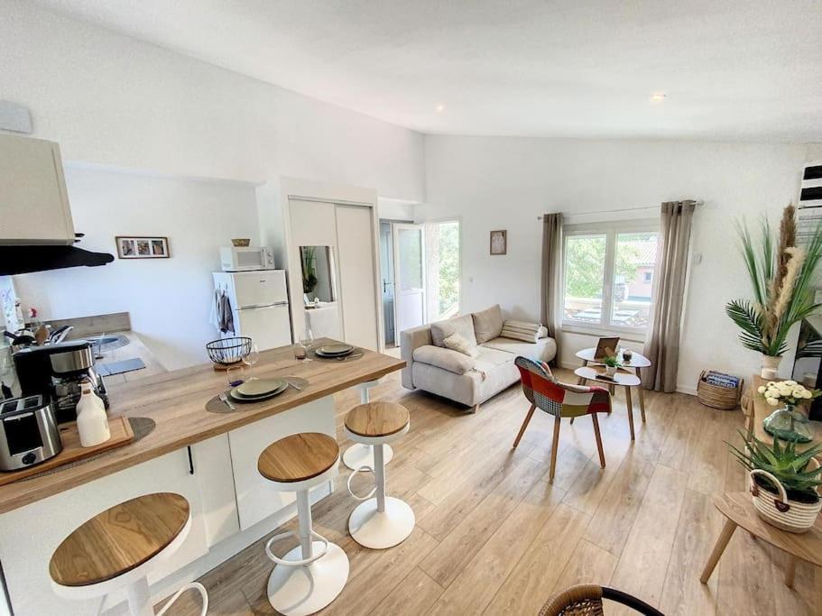 Les Penates Du Pastel - Jardin & Terrasse Apartment Villefranche-de-Lauragais Ngoại thất bức ảnh